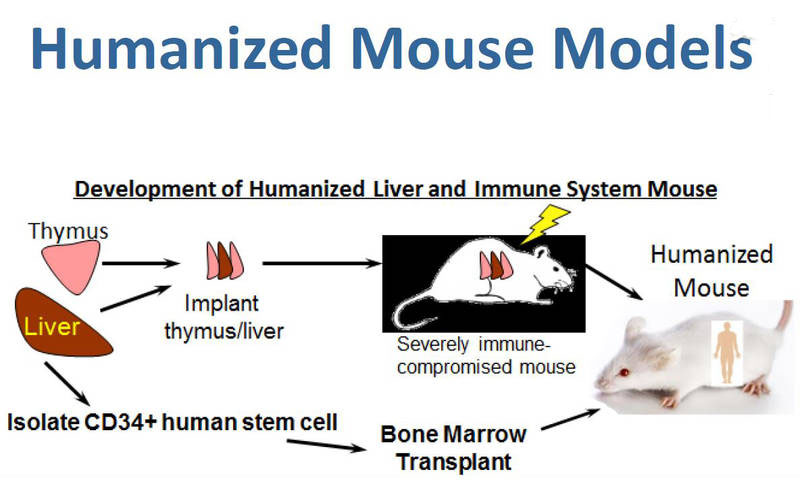 US Covid-19 Vaccines 