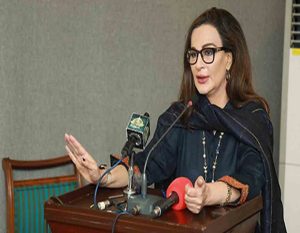 پی ٹی آئی پر پابندی لگانے کے فیصلے پر پیپلز پارٹی کا موقف