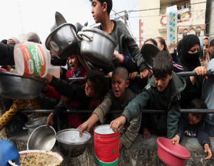 غزہ میں انسانی امدادی کاروئیوں کی صورتحال،ورلڈ فوڈ پروگرام کی زبانی