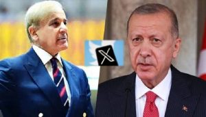 شہبازشریف اردوان