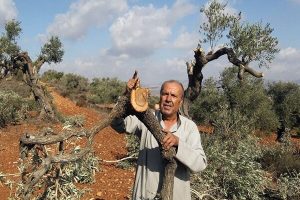 فلسطین