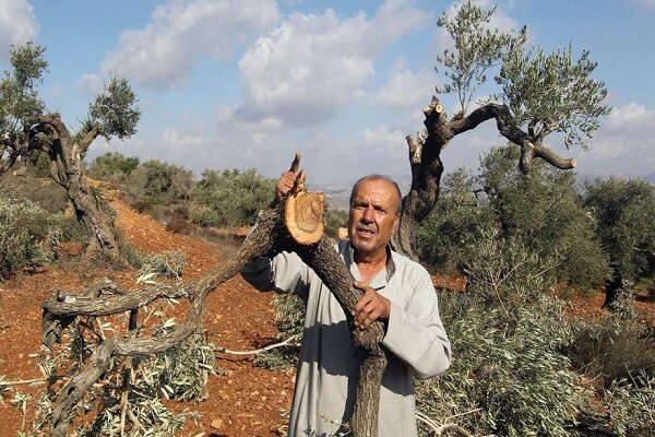 فلسطین