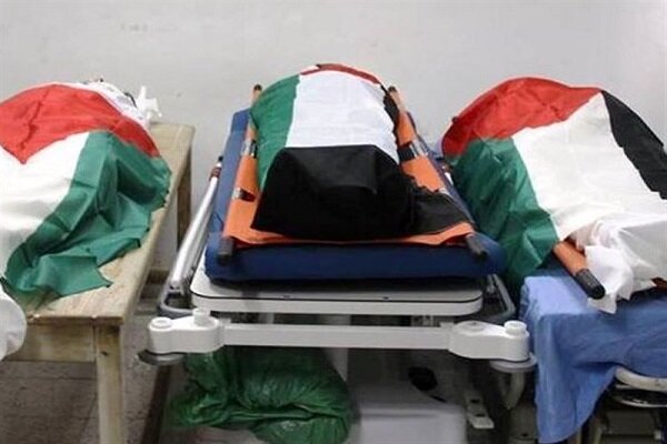فلسطینی