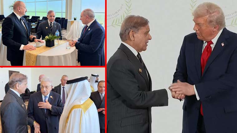 شہبازشریف