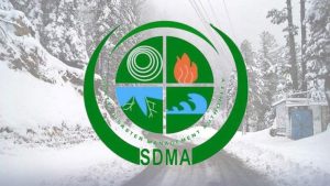 ایس ڈی ایم اے