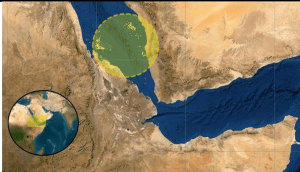 بحیرۂ احمر