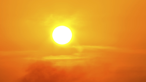 گرمی کی لہر
